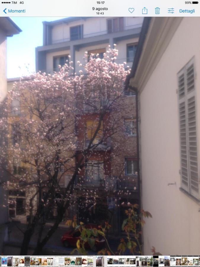לינה וארוחת בוקר קזאלה מונפראטו Magnolia מראה חיצוני תמונה