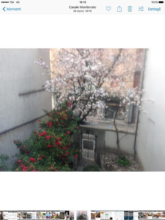 לינה וארוחת בוקר קזאלה מונפראטו Magnolia מראה חיצוני תמונה